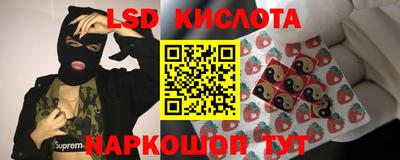 эйфоретик Бузулук