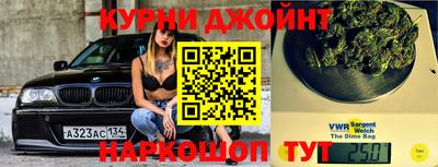 гидропоника Будённовск