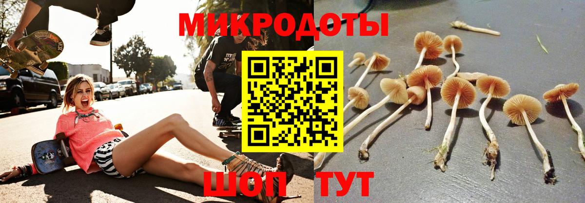 Галлюциногенные грибы Cubensis  Вход с VPN  Кувандык 